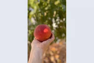 3056 S 1450 W, Perry, UT 84302 - Photo 51