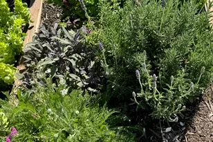 3056 S 1450 W, Perry, UT 84302 - Photo 49