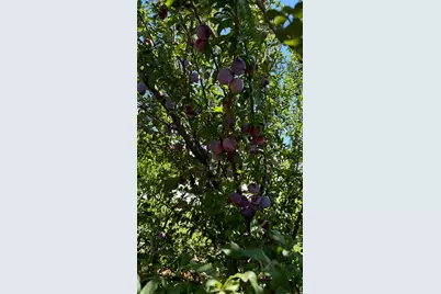 3056 S 1450 W, Perry, UT 84302 - Photo 47