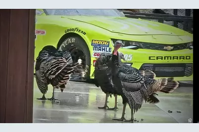 2042 S Valley Dr #57, Mapleton, UT 84664 - Photo 13