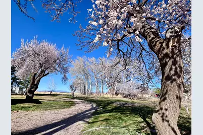 479 E 100 N, Meadow, UT 84644 - Photo 55