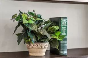 401 W Silver Rd, Leeds, UT 84746 - Photo 21