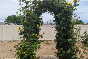 2088 N 450 W, Sunset, UT 84015 - Photo 31