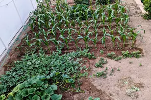 2088 N 450 W, Sunset, UT 84015 - Photo 33