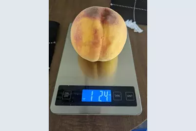 2088 N 450 W, Sunset, UT 84015 - Photo 41