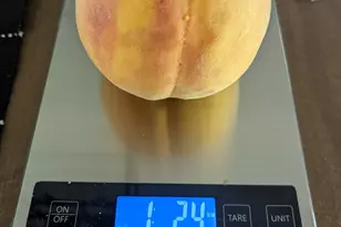 2088 N 450 W, Sunset, UT 84015 - Photo 41