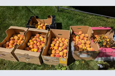 2088 N 450 W, Sunset, UT 84015 - Photo 45