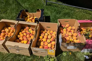 2088 N 450 W, Sunset, UT 84015 - Photo 45