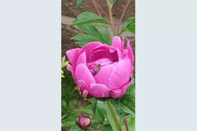 2088 N 450 W, Sunset, UT 84015 - Photo 37