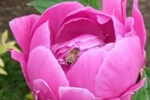 2088 N 450 W, Sunset, UT 84015 - Photo 37