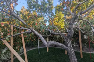 2088 N 450 W, Sunset, UT 84015 - Photo 43