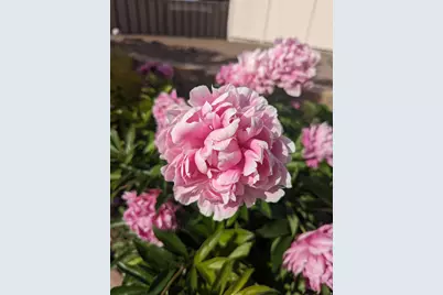 2088 N 450 W, Sunset, UT 84015 - Photo 39