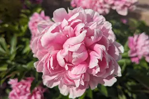 2088 N 450 W, Sunset, UT 84015 - Photo 39