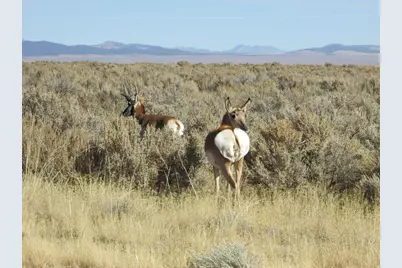 8350 W 5200 N #503-4, Beryl, UT 84714 - Photo 5