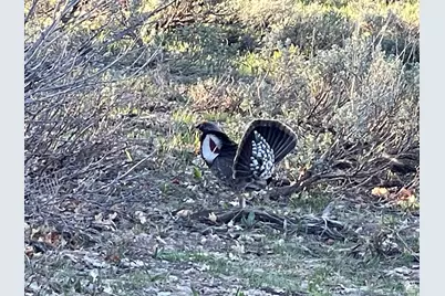 200 Mill Farm Rd, Montpelier, ID 83254 - Photo 45