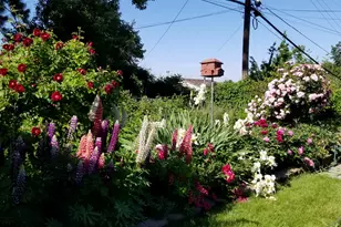 1029 Douglas St, Ogden, UT 84404 - Photo 25