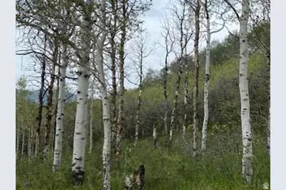 2604 S Forest Meadow Rd #C-82, Coalville, UT 84017 - Photo 7