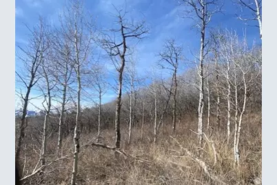 2604 S Forest Meadow Rd #C-82, Coalville, UT 84017 - Photo 3