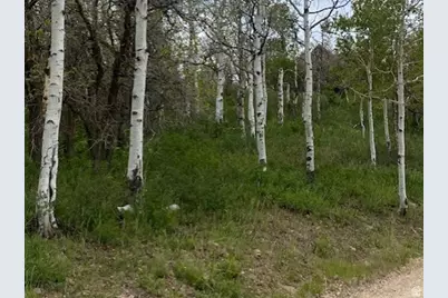 2604 S Forest Meadow Rd #C-82, Coalville, UT 84017 - Photo 3