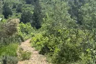 424 Beaver Creek Rd Hills, Kamas, UT 84036 - Photo 1