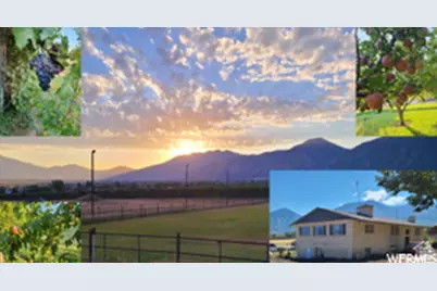 900 S Goosenest Dr, Payson, UT 84651 - Photo 15