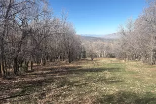 1040 S Pineview Dr, Woodland Hills, UT 84653 - Photo 1