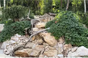 6195 Creekside Dr, Mountain Green, UT 84050 - Photo 39