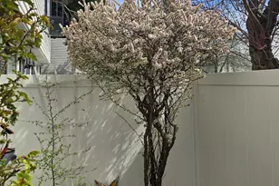 600 E 3990 S, Murray, UT 84107 - Photo 5