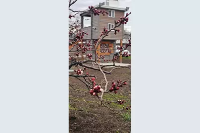 752 W Jackson Ave N, Salt Lake City, UT 84116 - Photo 13