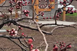 752 W Jackson Ave N, Salt Lake City, UT 84116 - Photo 13