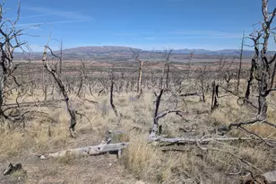 [Address not provided], Fruitland, UT 84027 - Photo 1