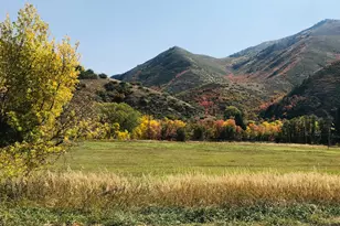 47 S Meadow Dr, Springville, UT 84663 - Photo 37