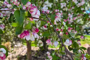 1697 W 2450 N, Vernal, UT 84078 - Photo 3