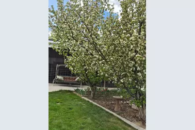 1697 W 2450 N, Vernal, UT 84078 - Photo 9