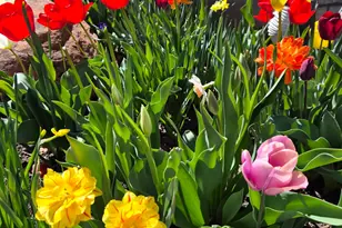 1697 W 2450 N, Vernal, UT 84078 - Photo 5