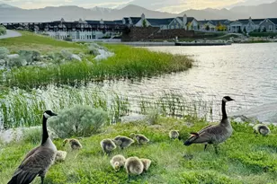 10993 S Oquirrh Lk Rd, South Jordan, UT 84009 - Photo 67