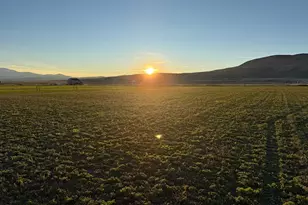 1445 S 800 E, Trenton, UT 84338 - Photo 7