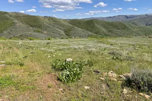 3348 N Water Cyn Cir, Huntsville, UT 84317 - Photo 1