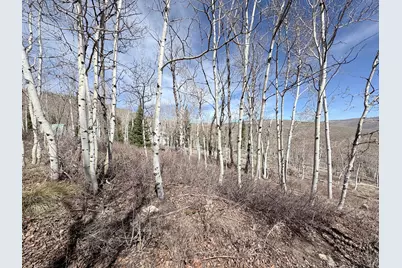 10 Lakeview Dr N #10, Scofield, UT 84526 - Photo 13