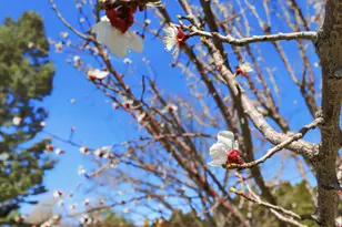 2076 Summer Wood Dr, Farmington, UT 84025 - Photo 45