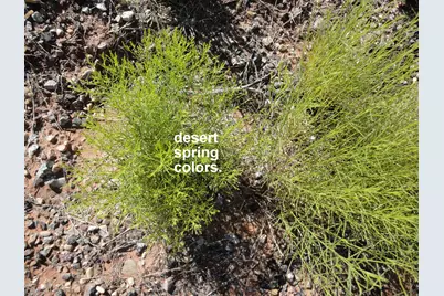 [Address not provided], Cisco, UT 84515 - Photo 9