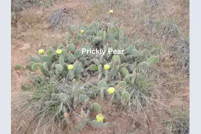 [Address not provided], Cisco, UT 84515 - Photo 5