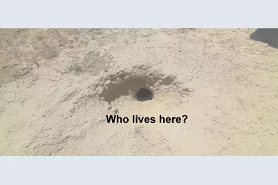 [Address not provided], Cisco, UT 84515 - Photo 11