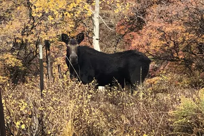 199 Mountainview #199, Oakley, UT 84055 - Photo 23