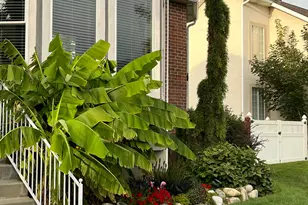 1447 E Edgecliff Dr, Sandy, UT 84092 - Photo 39