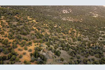 [Address not provided], Elberta, UT 84626 - Photo 13