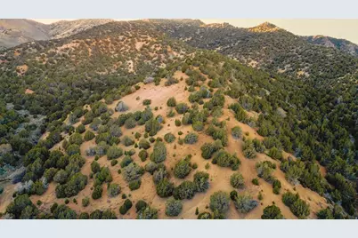 [Address not provided], Elberta, UT 84626 - Photo 23