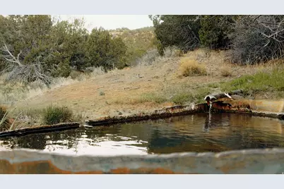 [Address not provided], Elberta, UT 84626 - Photo 1