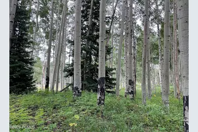 4410 Fawn Way #2038, Heber City, UT 84032 - Photo 1