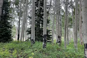 4410 Fawn Way, Heber City, UT 84032 - Photo 1